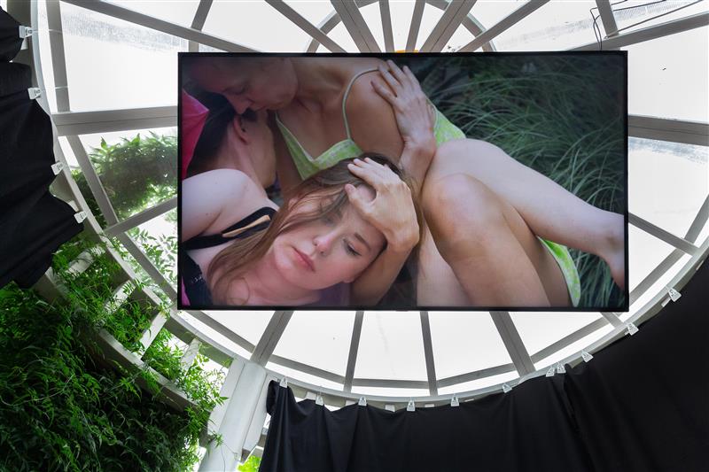 F&auml;nnikiri Artishokile