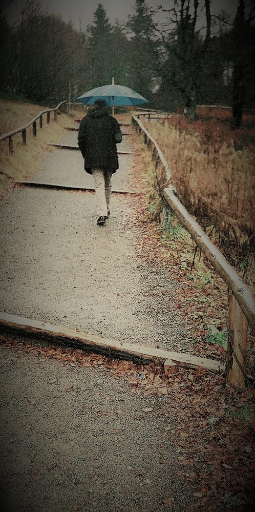 Me m&auml;letame&hellip;