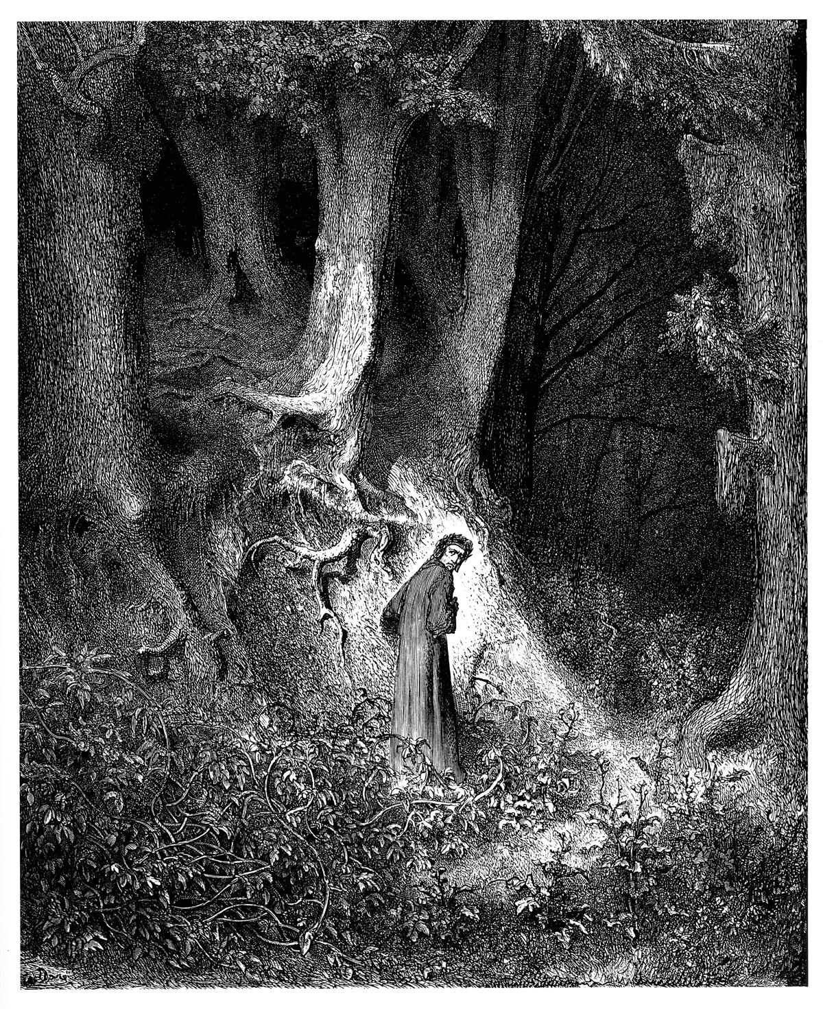 Dante kriisiteraapia