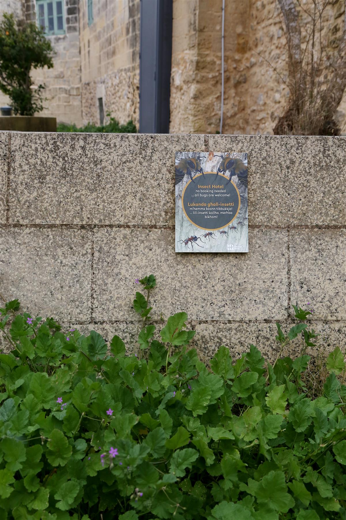 Juhime evolutsiooni, aga kuhu? Lugu sellest, kuidas inimene loodusele vastu hakkas ja haledalt l&auml;bi kukkus