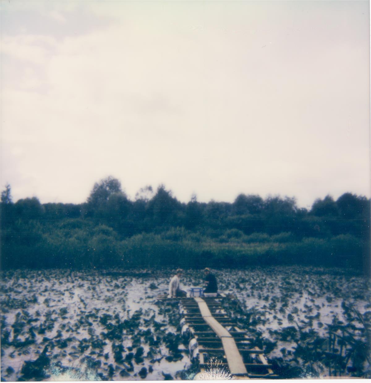 Kogutud teos. Kestev mõistatus