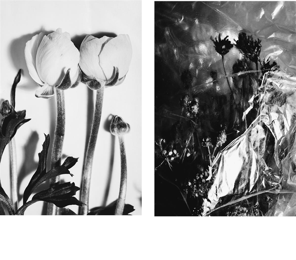 Valgusega kirjutatud vaikus