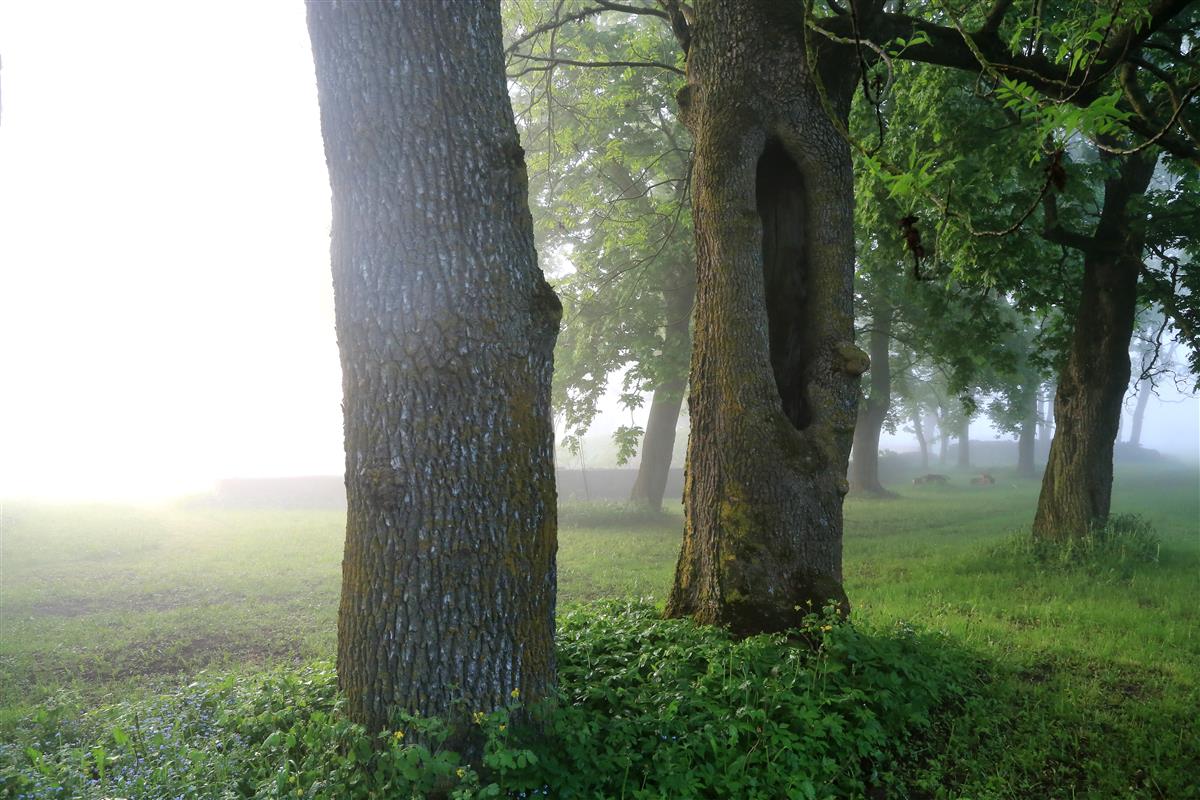 Mis juhtub pärast kriisi?