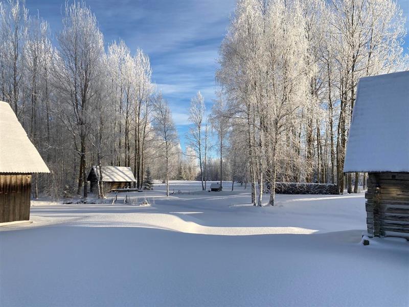 Hirm on halb peremees. Nursipalu näitel