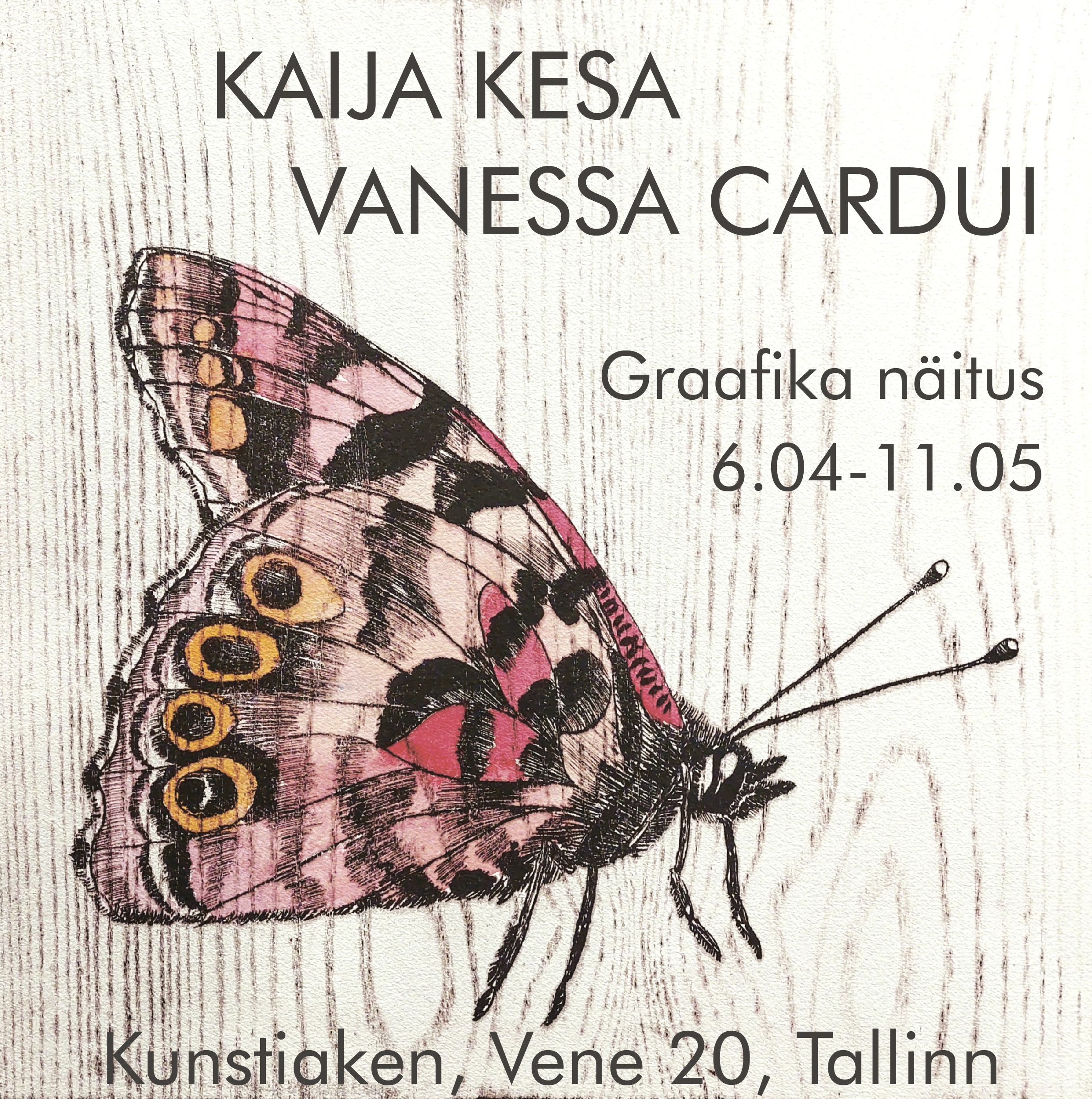 Vanessa cardui. Kaija Kesa näitus galeriis Kunstiaken