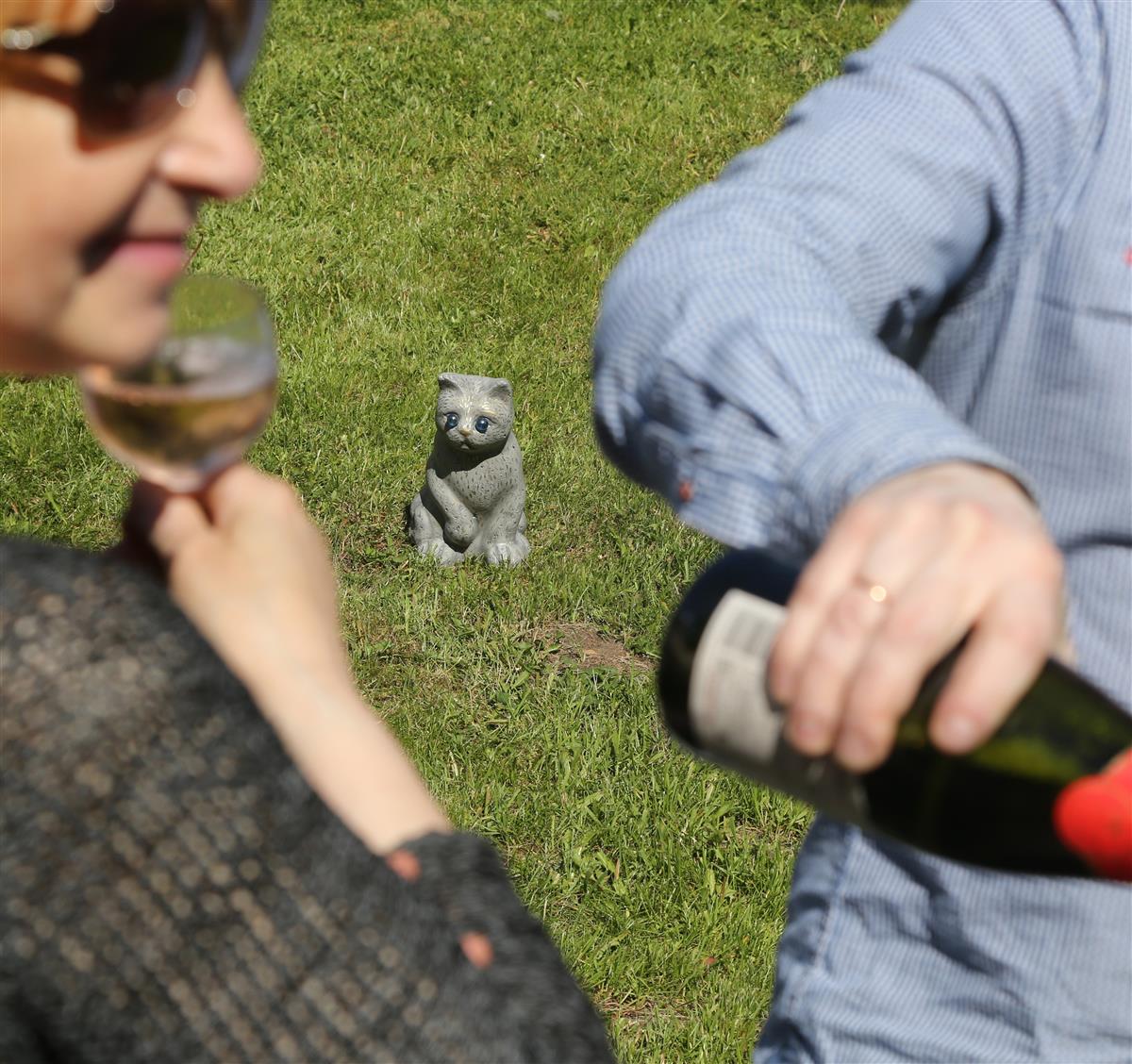 Vingumisest on villand