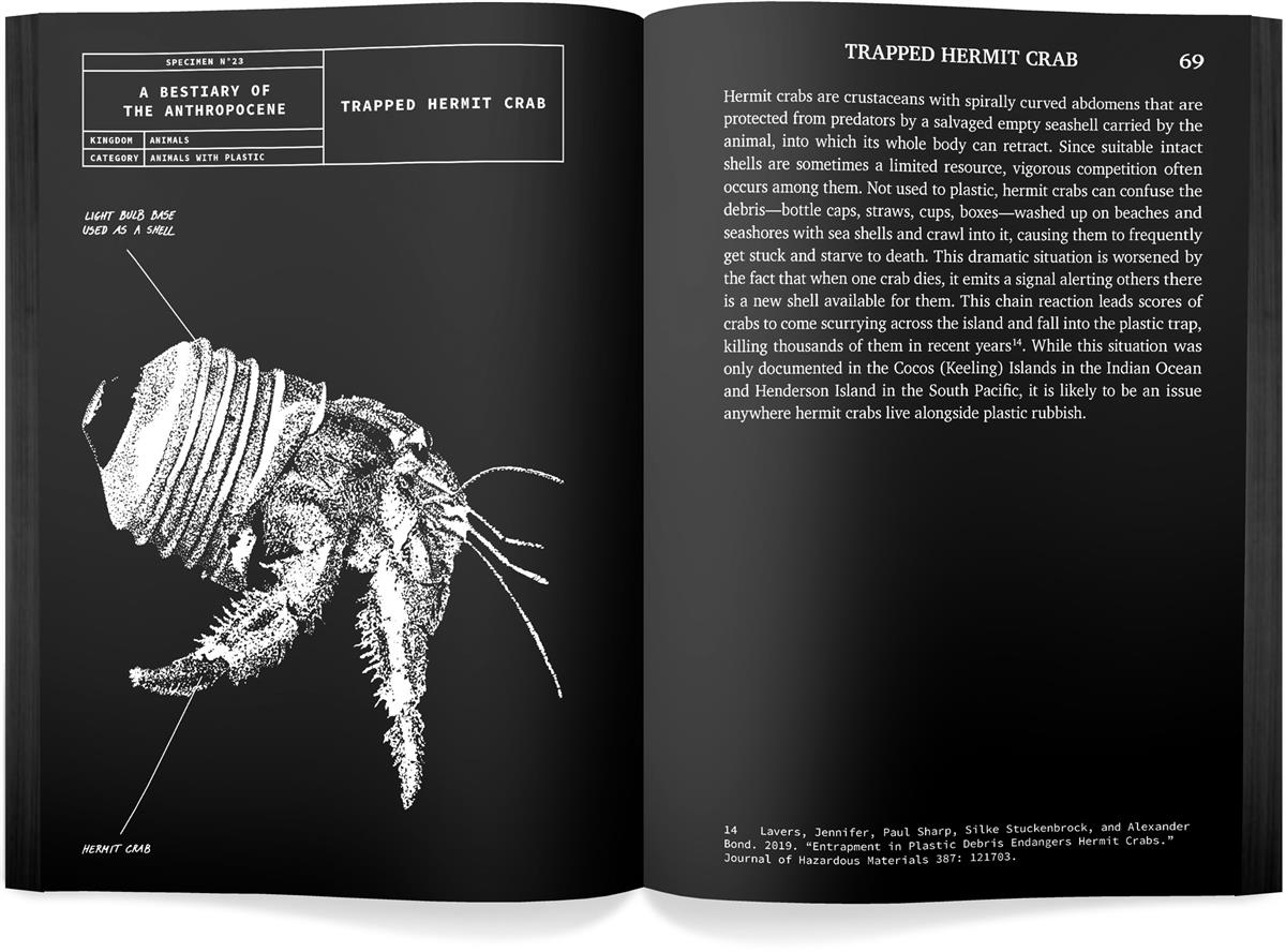 Pliotseenist p&auml;rit ahv loeb &bdquo;Antropotseeni bestiaariumi&ldquo;