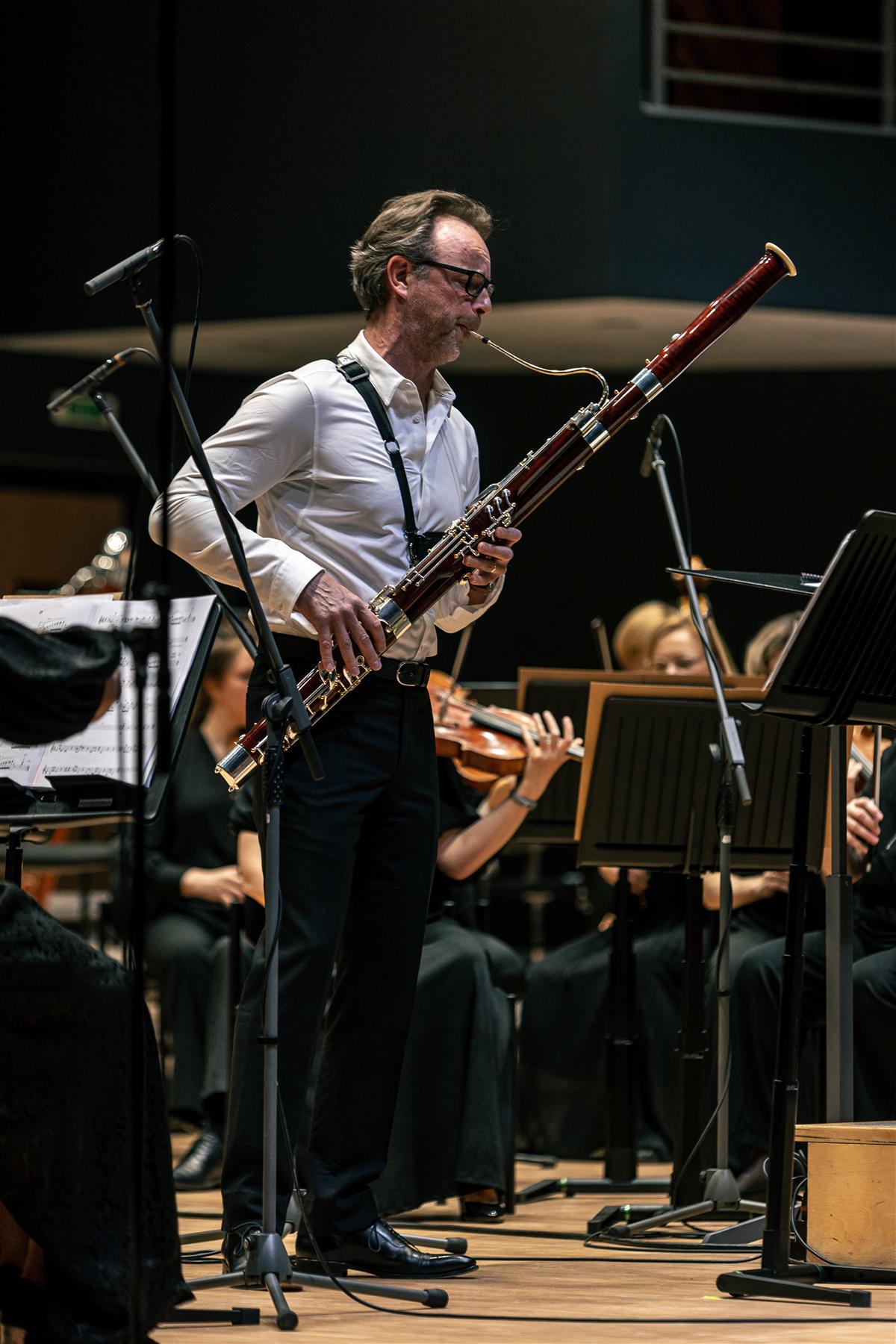 Karged hoovused avali (kultuuri)aknast