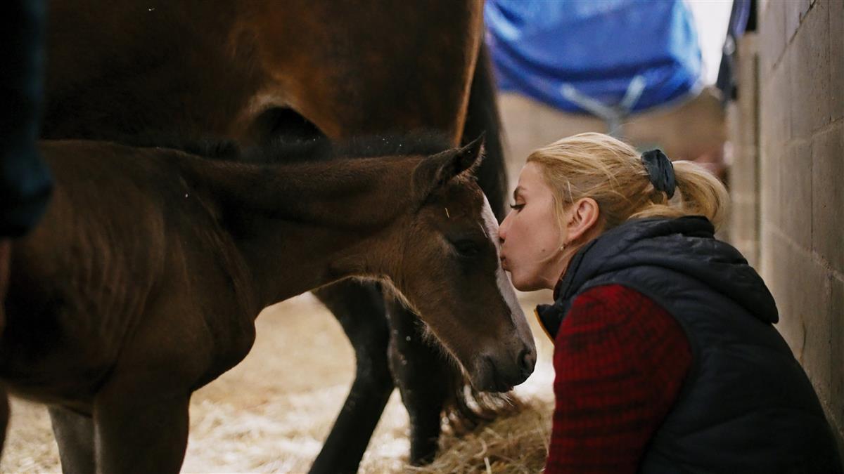 Spordist, mitme s&uuml;damega