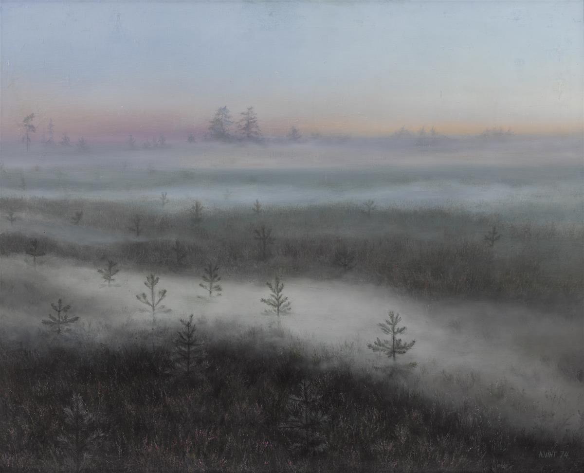 Tule metsa, mine metsa