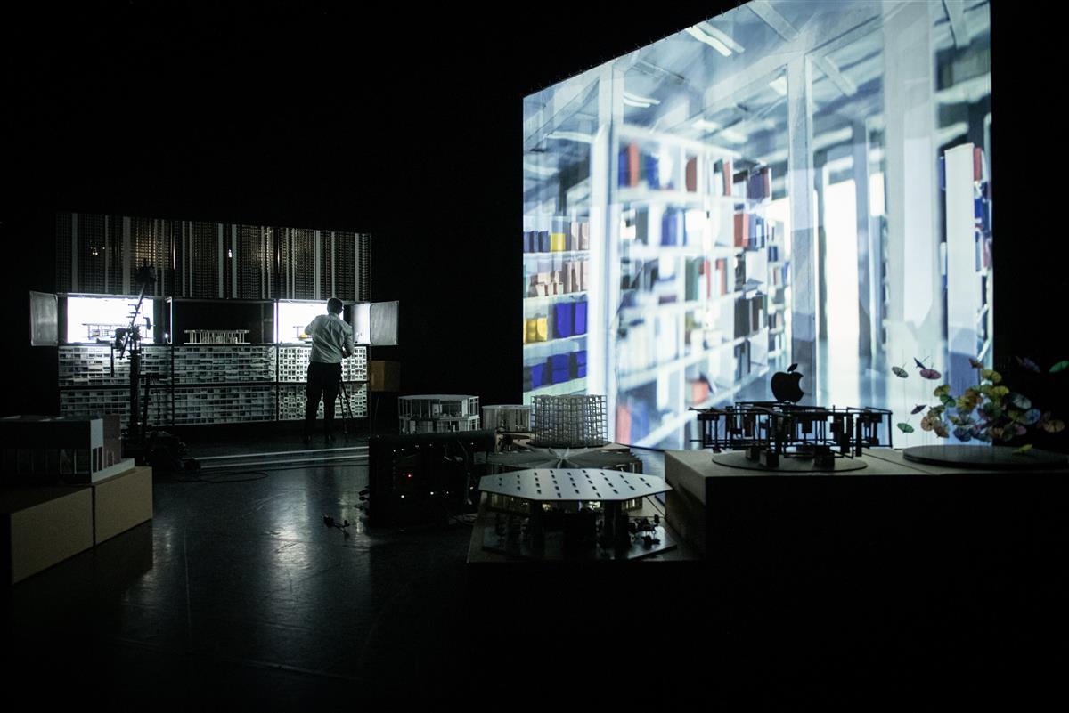 Kohataju ja haugi mälu