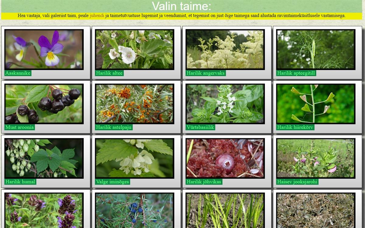 Loome uuesti aegade silla ehk Taimed minu elus: tervis, toit, ilu