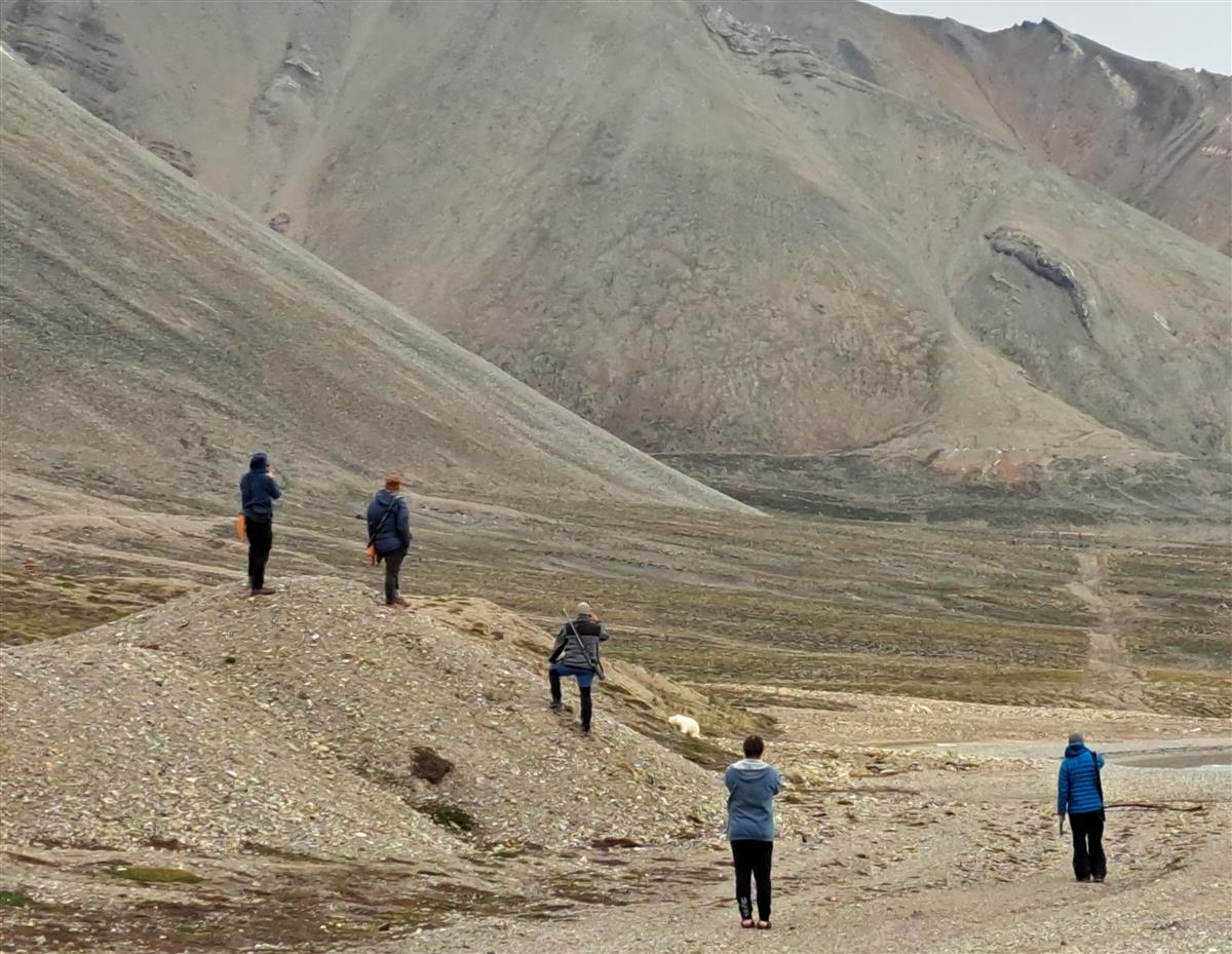 Ääremärkusi teaduse vahelt. Arktiline toidusedel sisikonnasupist kaldamudast korjatud kirpvähkideni