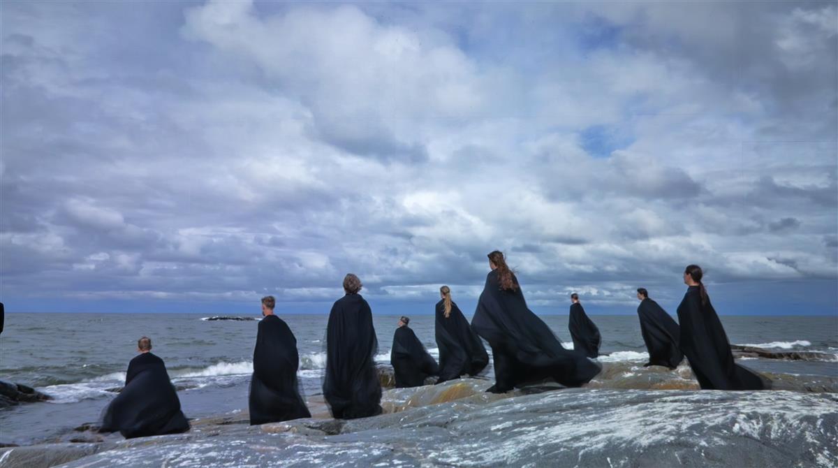 Kormoranid, evolutsiooniteooria ja vältimatu kaaslane tehisaru