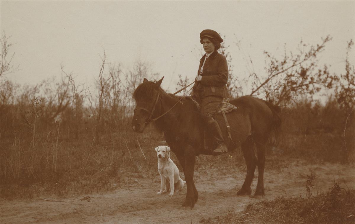 Rietite võimas fotodünastia