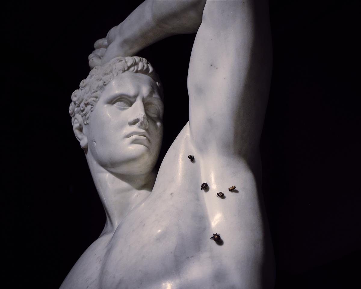 Kas parasiit on kuningas v&otilde;i ohver?