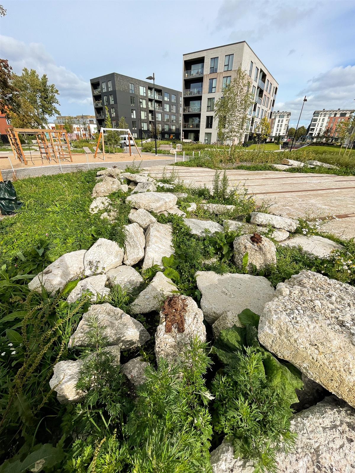 Puu ei ole indulgents