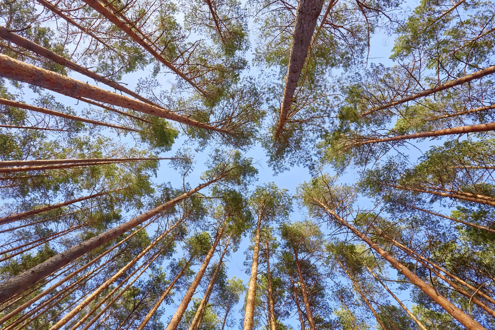 Kestlik eluviis on uskumise k&uuml;simus