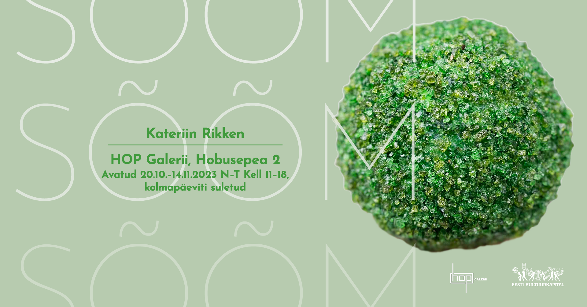 Kateriin Rikkeni näitus “Sõõm” Hop galeriis