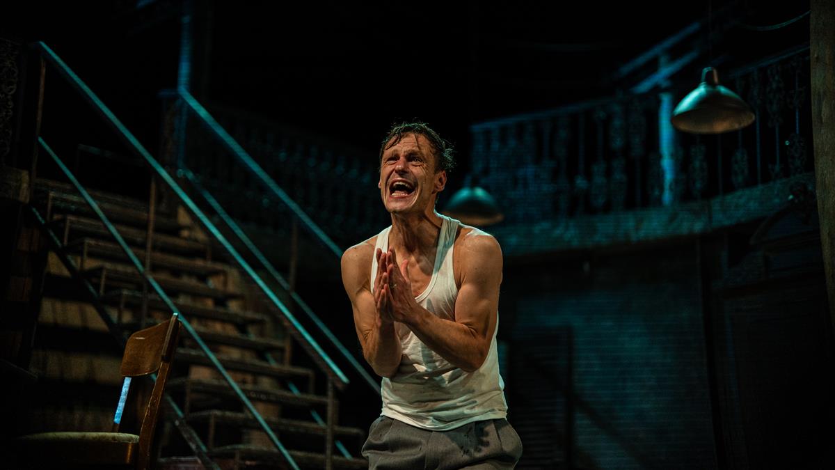 Ihamaastikel tihenev udu