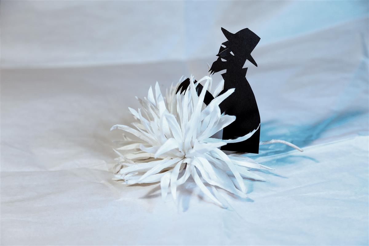 Riknenud kaup poliitikaturul