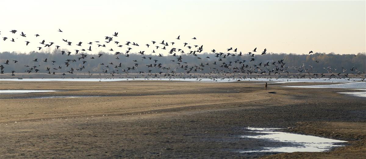 &Auml;&auml;rem&auml;rkusi teaduse vahelt. S&otilde;nadega r&uuml;hmamine