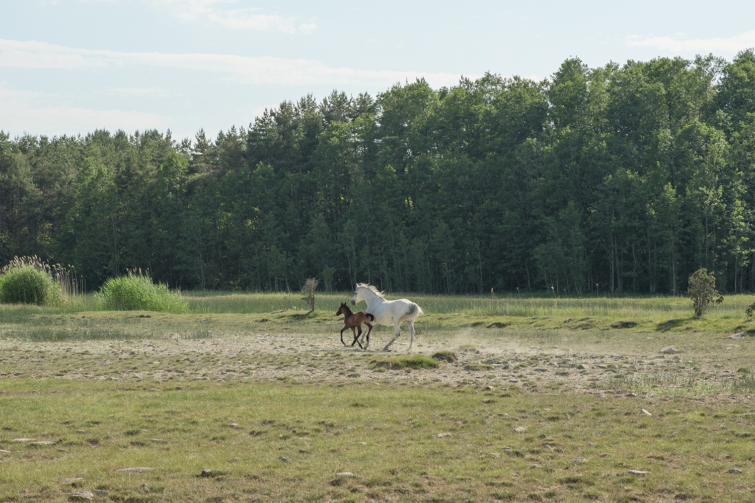 Keiu Maasik Tartu Kunstimajas 