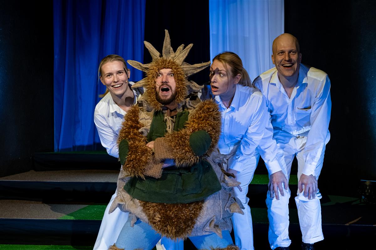 Siilike k&auml;is s&otilde;jas