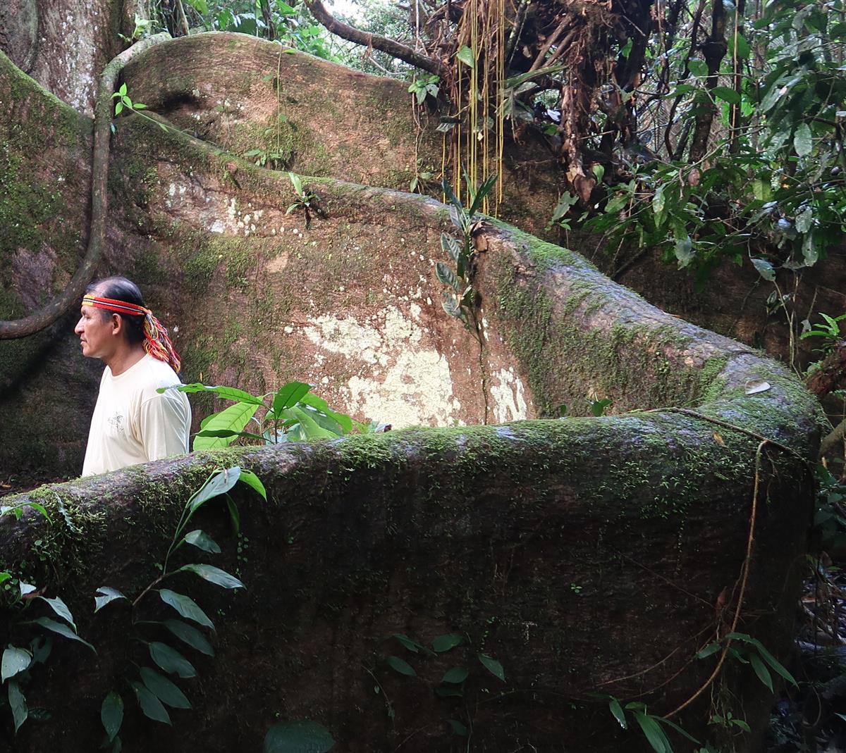 Kuu aega ekvaatori all