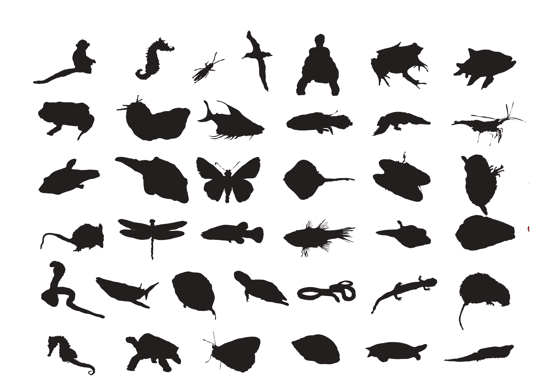 Keskkonnakunstinäitus „Teadmata“ juhib tähelepanu liikide väljasuremisele