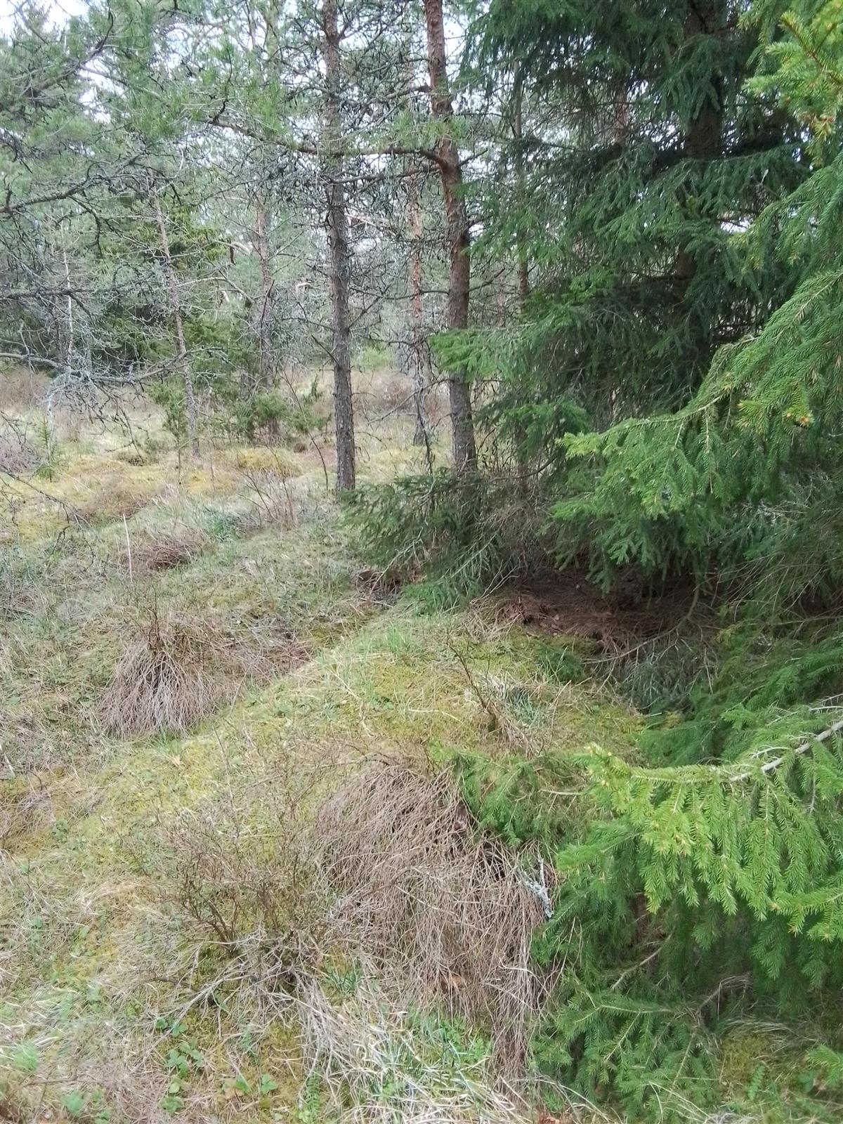 Uut Baltikumi majandusajaloos