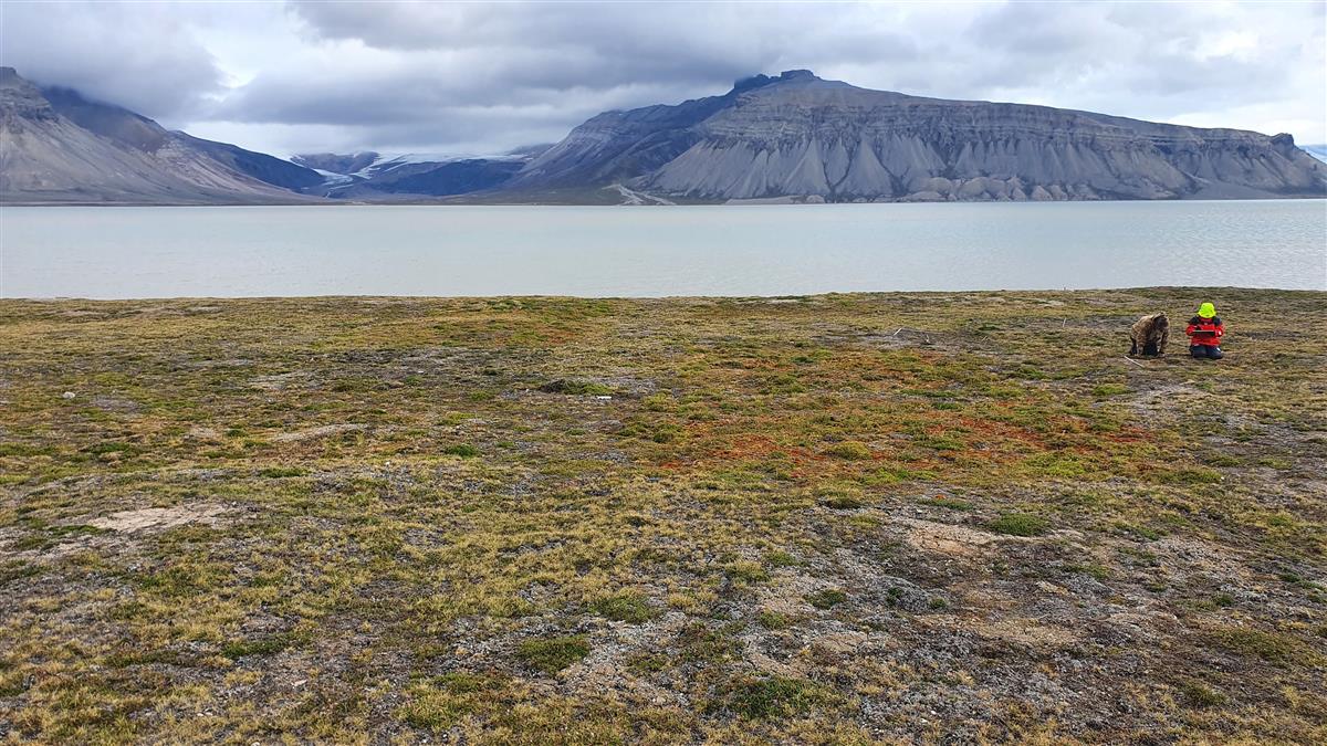Ääremärkusi teaduse vahelt. Ekseldes võõrastes teadusmetsades
