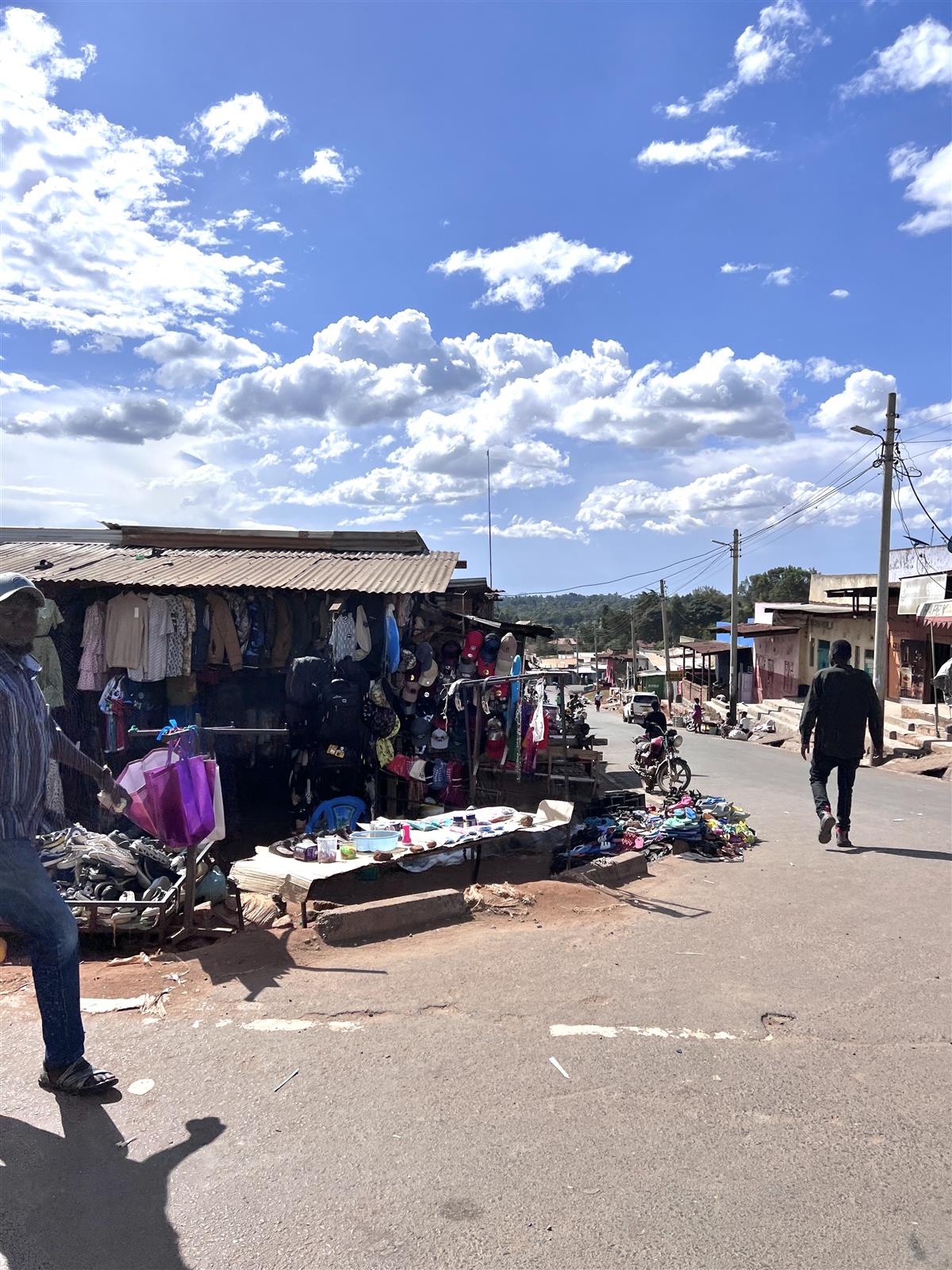 Elasid kord pusa, käekott ja toss, kes ei surnudki ära