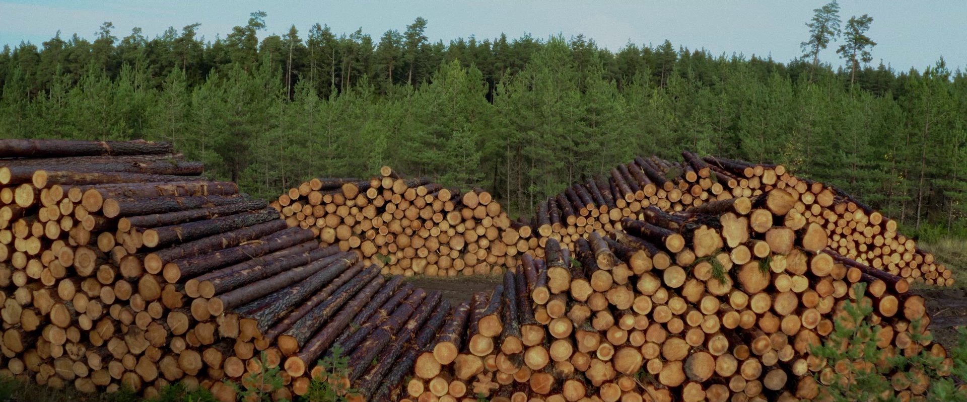 ETV2 keskkonnakuu avab kodumaine dokumentaal „Vara küps“