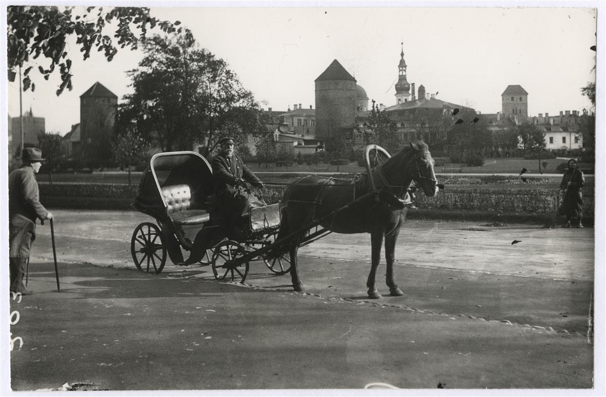 Tarkuse kurnamisest ja kasutamisest
