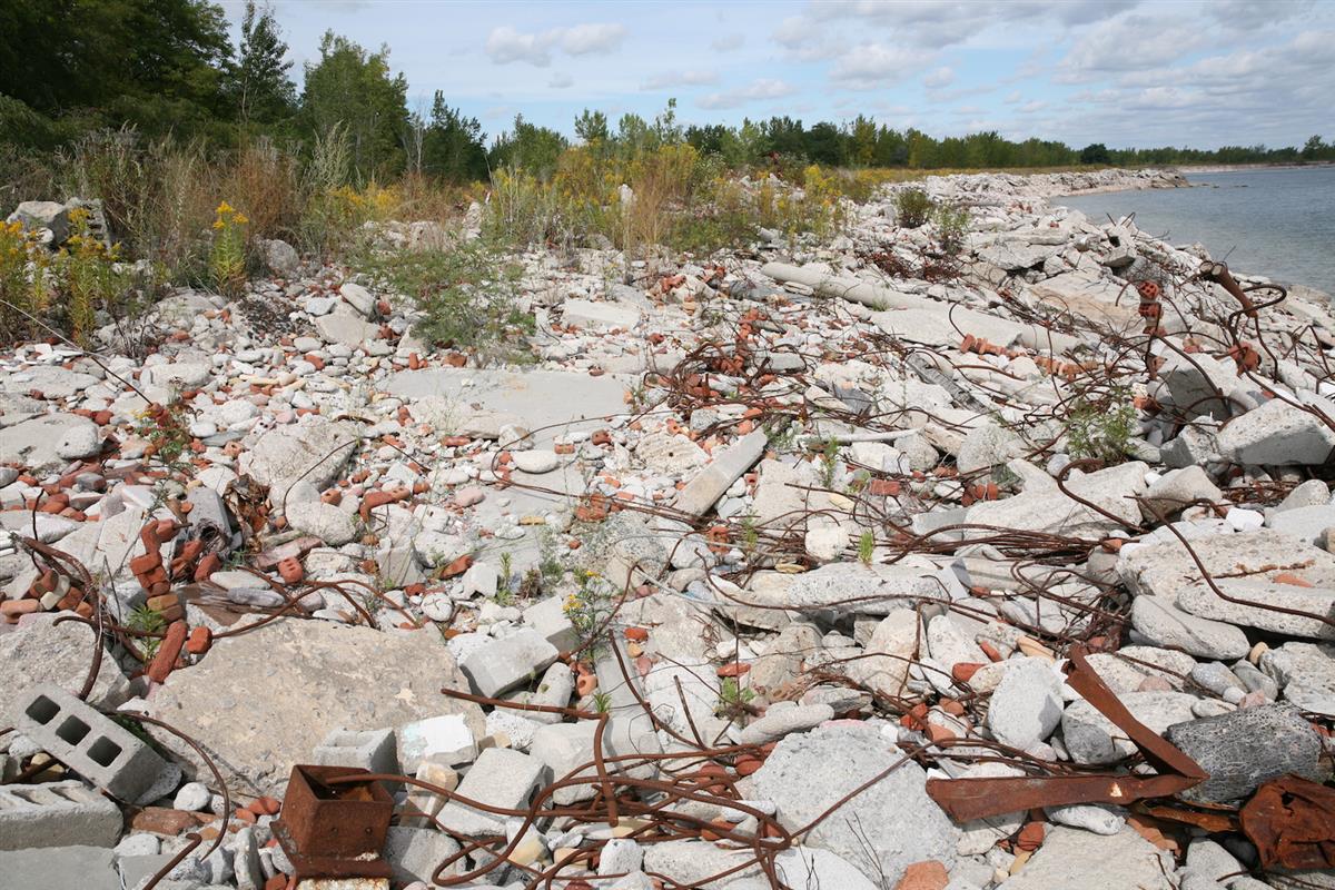 Arhitektuuri viib edasi teadlik unustamine