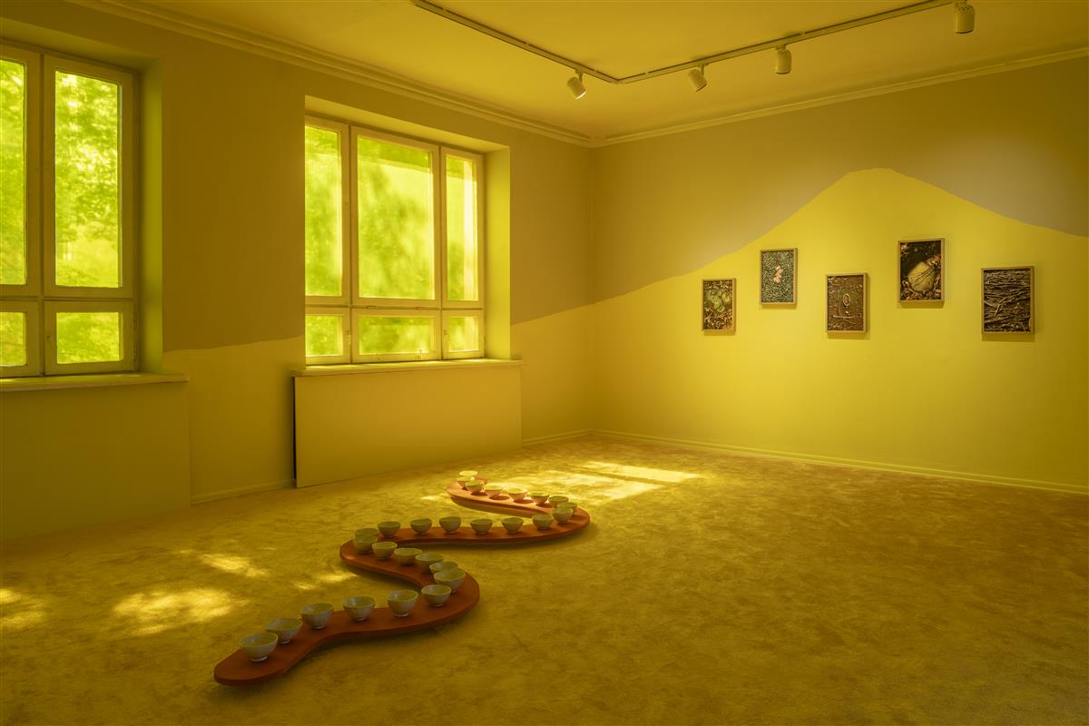 Tähelepanelikkus, mille sisse paistab päike