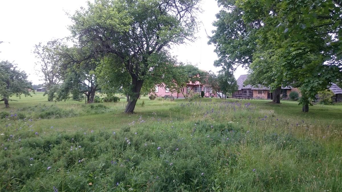 Ökoloogiline kirjaoskus