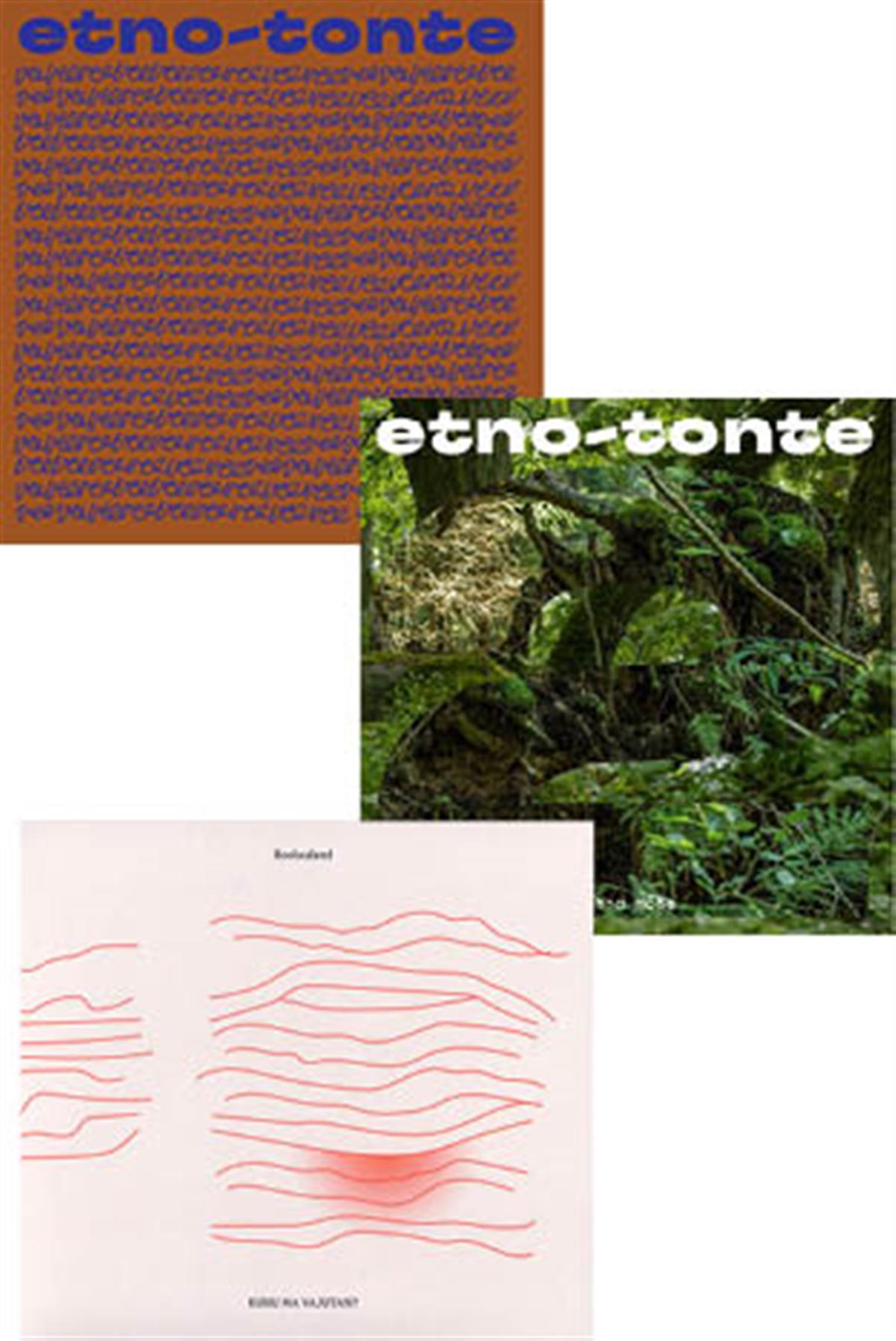 Mõni sõna luuleplaatidest ja muust