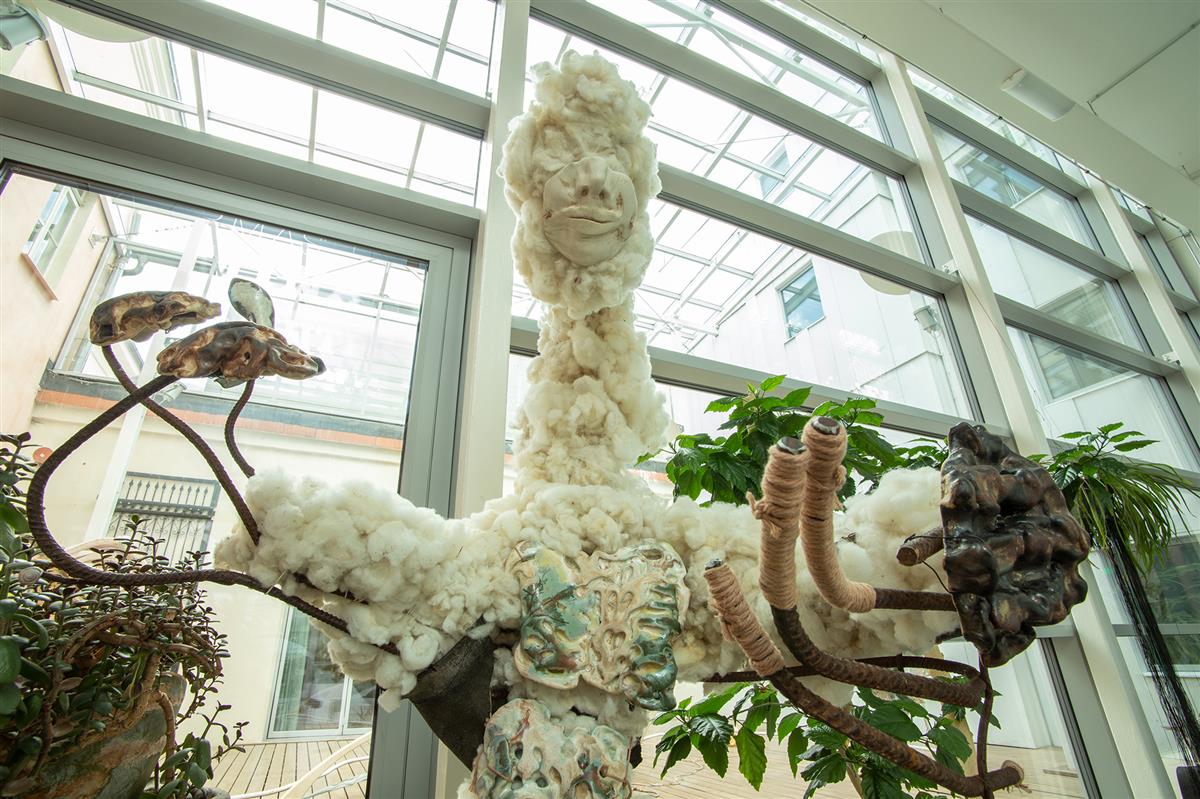 Härjapõlvlaste kaitseala