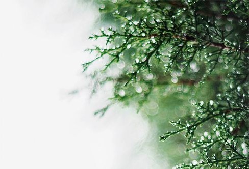 Ja maailm on. Ja ilu on