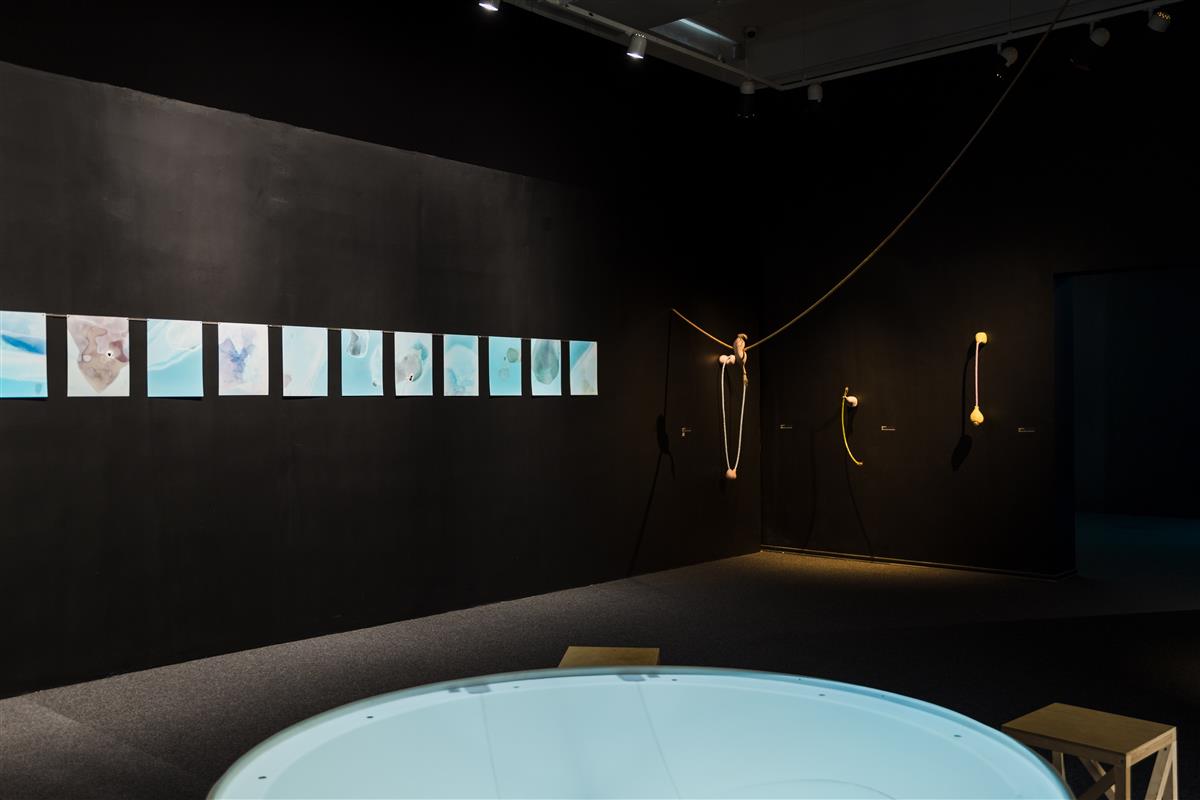 Kas keskkonnateemaliste näituste üleküllus?