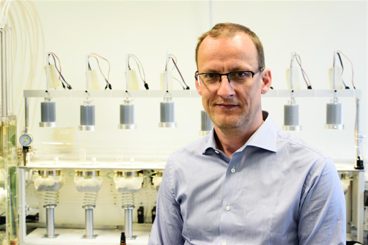 Taimeelu süvauuringud