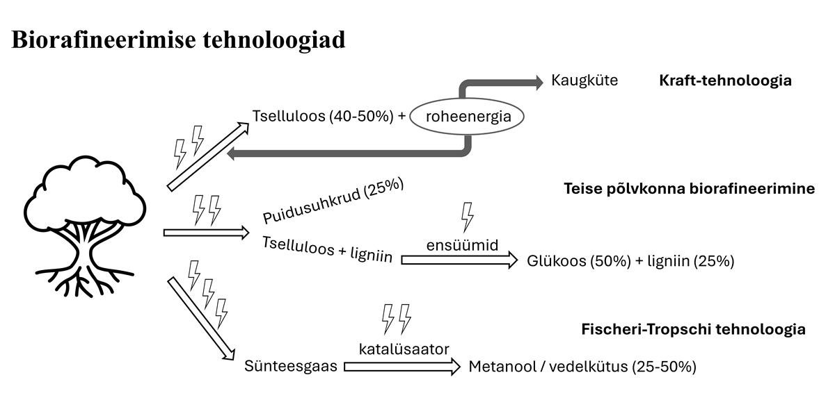 Kohalike ressursside väärindamise valu, võlu ja ilu