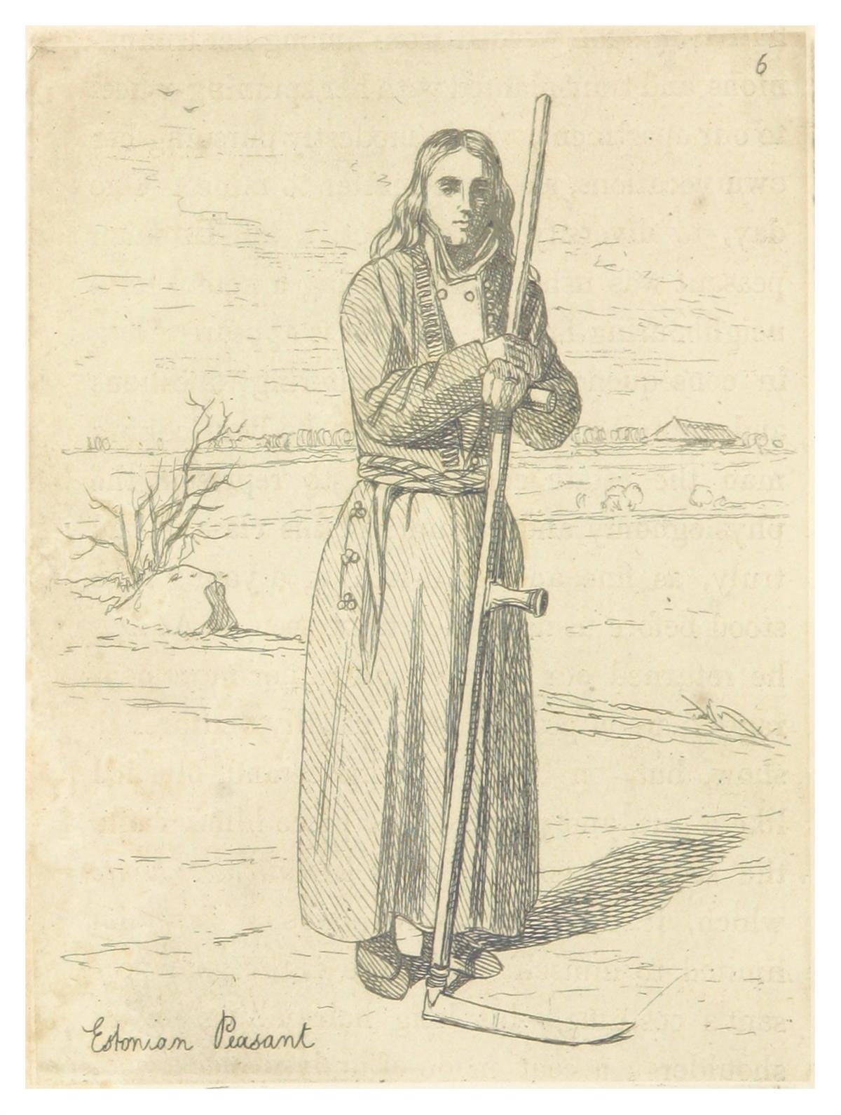 Kasvuraskused. Pikk vaade