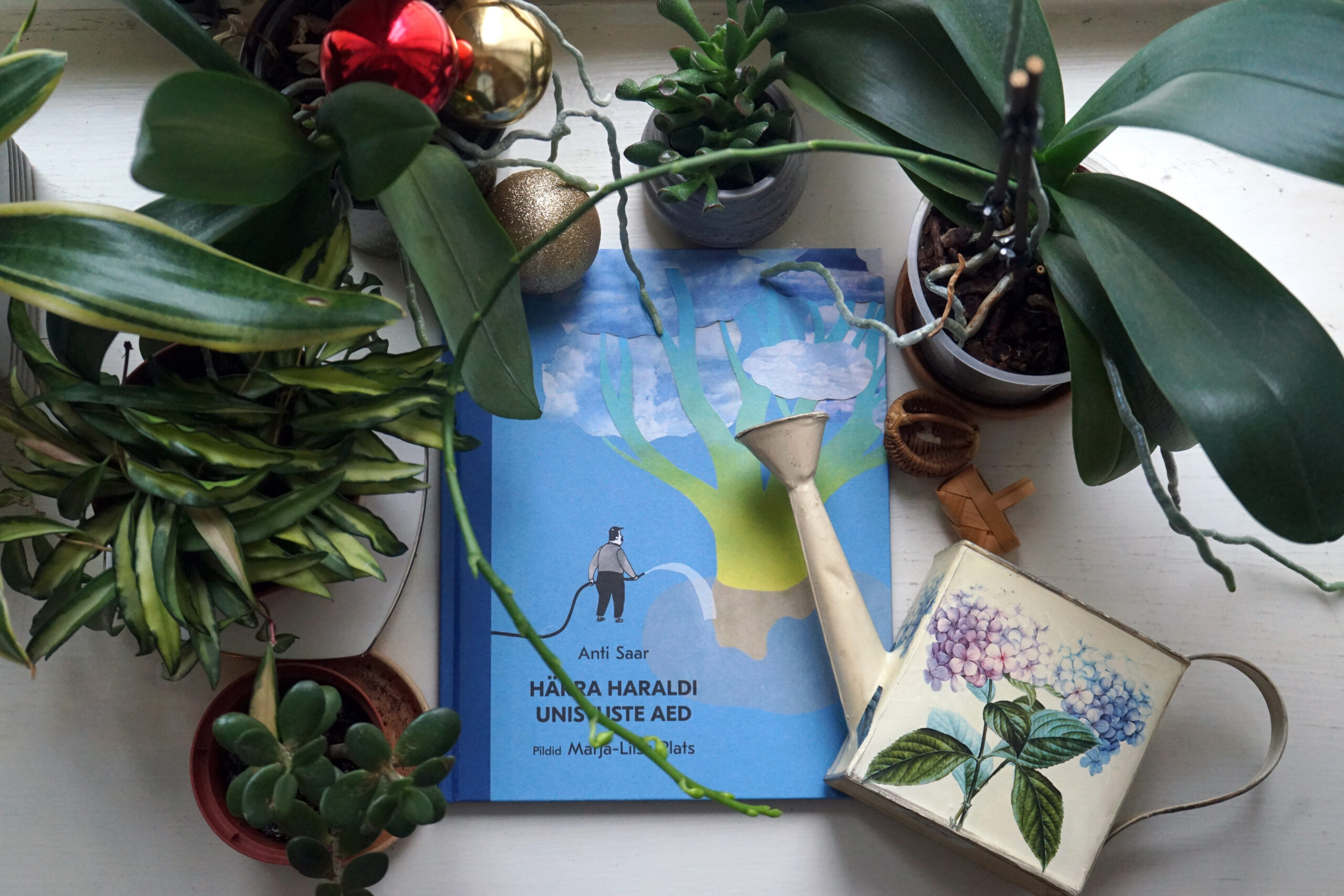 Aasta kõige omanäolisem lasteraamat on valitud