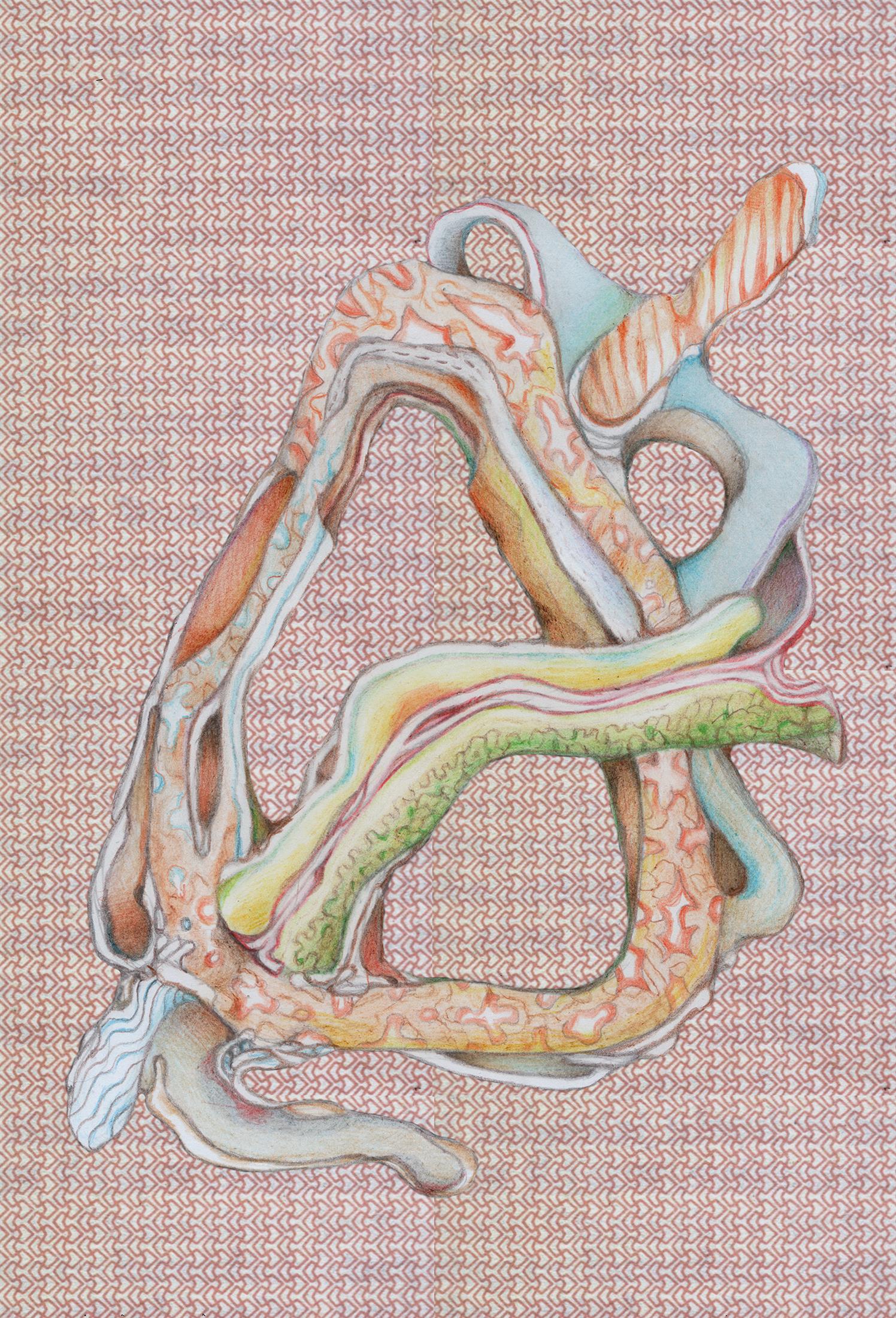 Kodustatud abjektsus ja eksortsism lihas