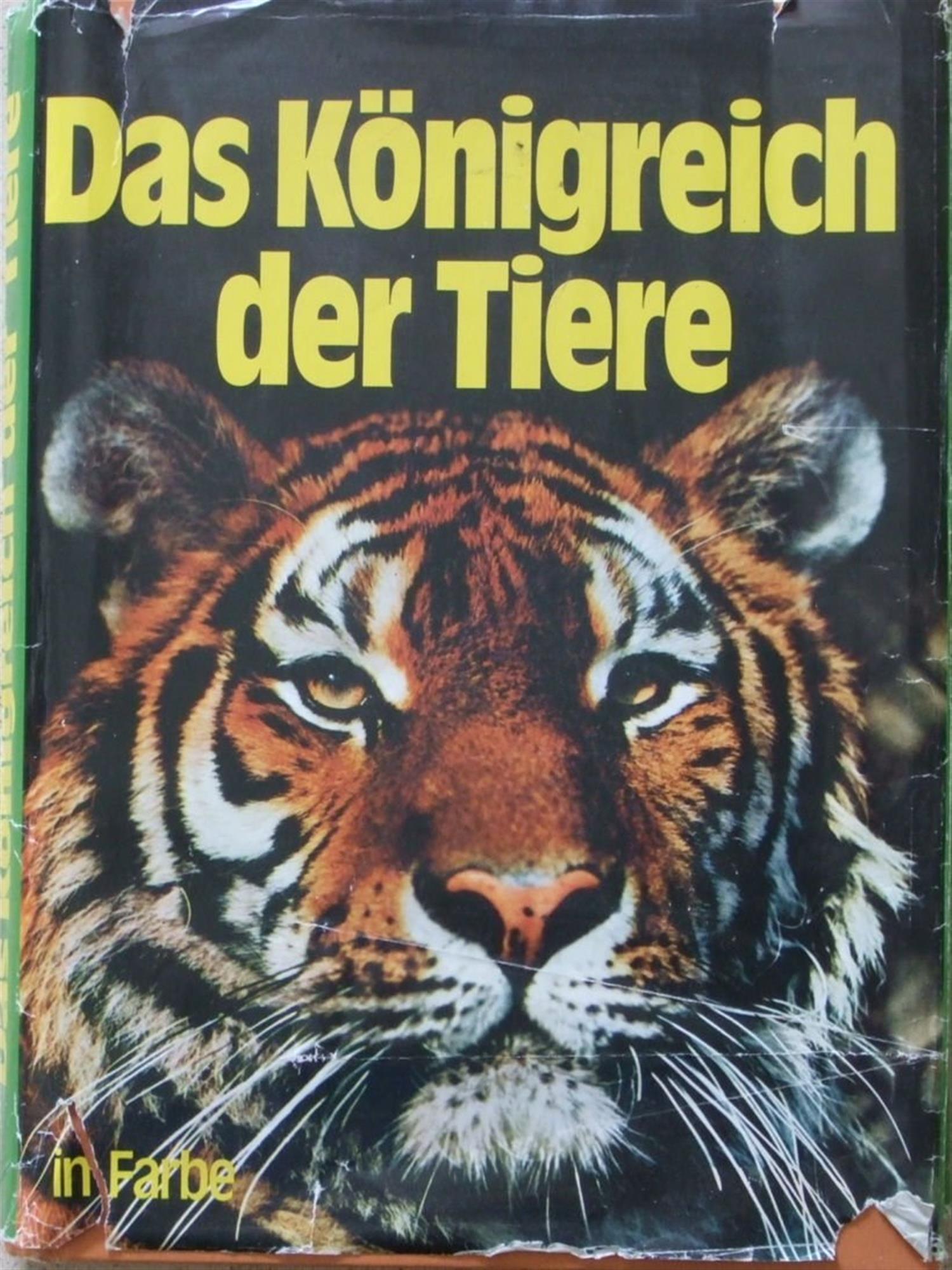 Vormistus ja sisustus