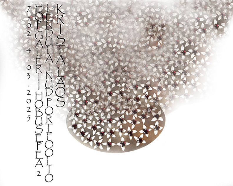 Ehtekunstnik Krista Laose näitus “Lendu läinud portfoolio” HOP galeriis