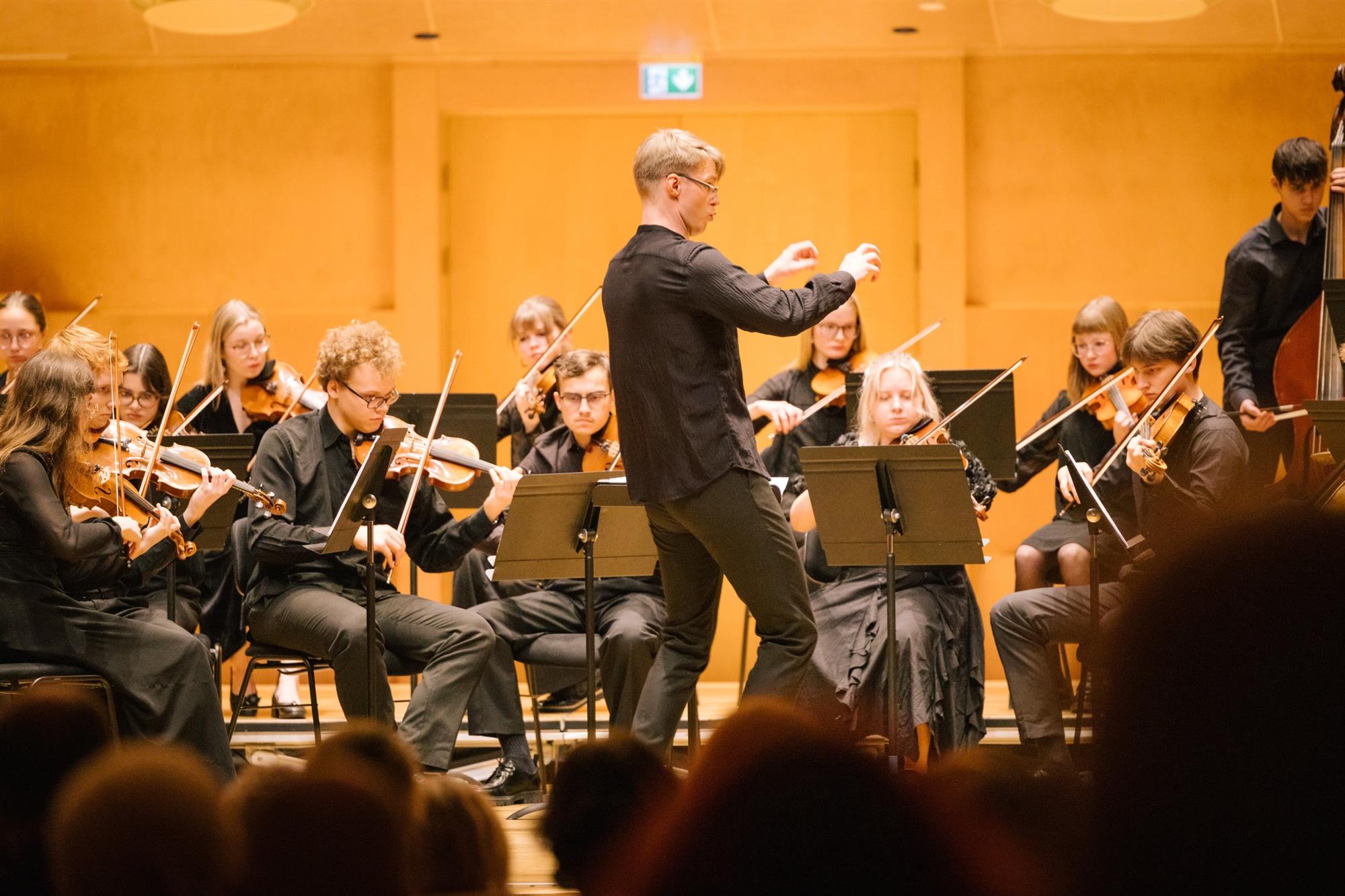 L&otilde;bus ja v&auml;rvikas kontserdikuu